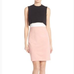 French Connection Color Block Dress